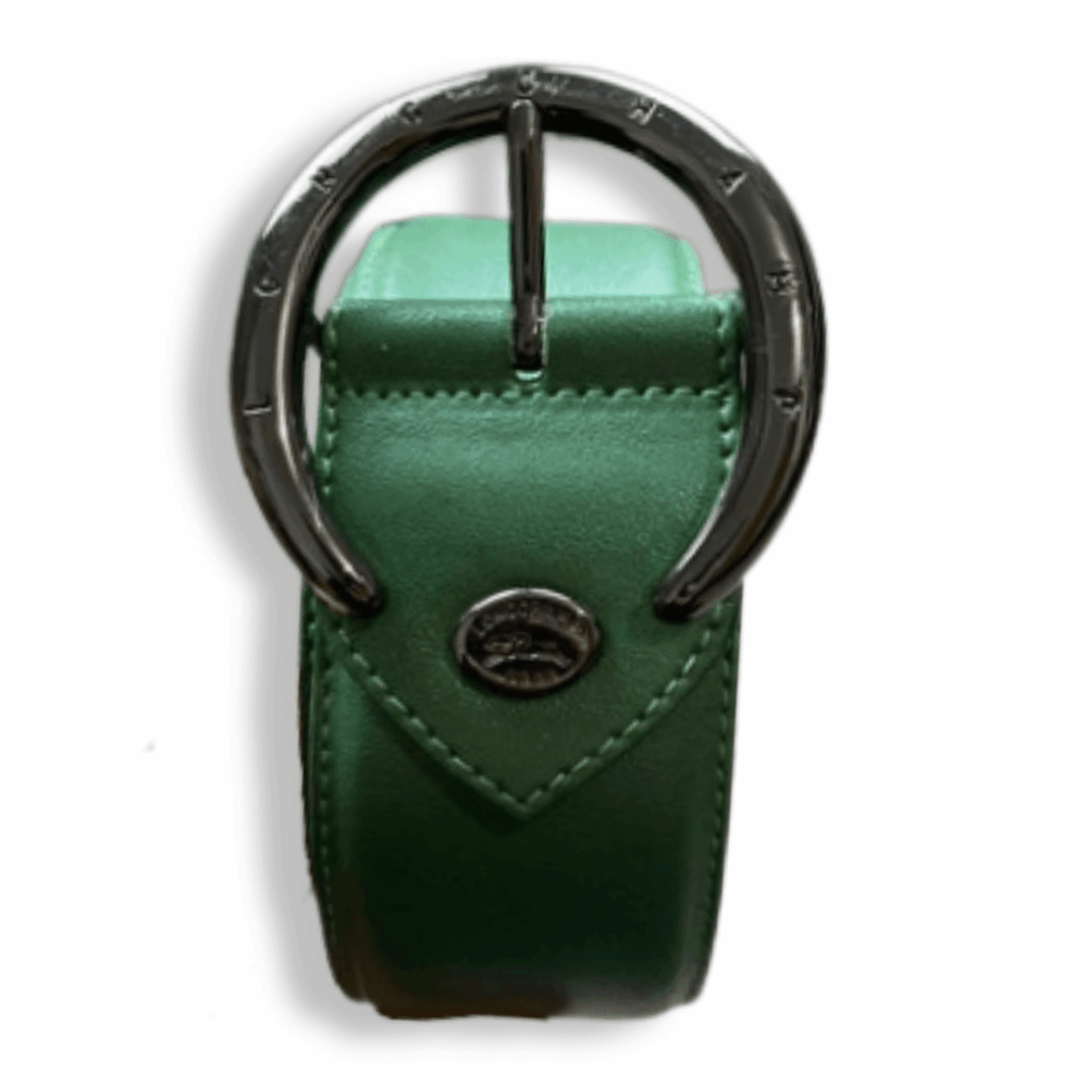 Belt Longchamp, photo 1